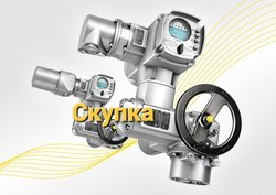 Куплю Auma Auma Auma Auma Auma Auma Auma Auma Auma Auma Auma Auma Auma Auma Auma Auma Auma Auma Auma Auma Auma Auma 