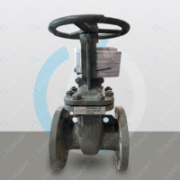 Задвижка стальная клиновая с ручным приводом 30с64нж - Ду 80