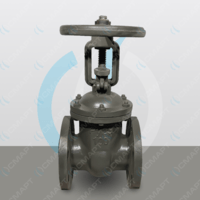 Задвижка стальная клиновая с ручным приводом 30с64нж - Ду 100