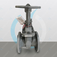 Задвижка стальная клиновая с ручным приводом 30с64нж - Ду 150